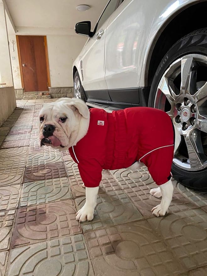 Dogs Waterproof Jacket, Lightweight Waterproof Jacket Reflective Safety Dog Raincoat Windproof