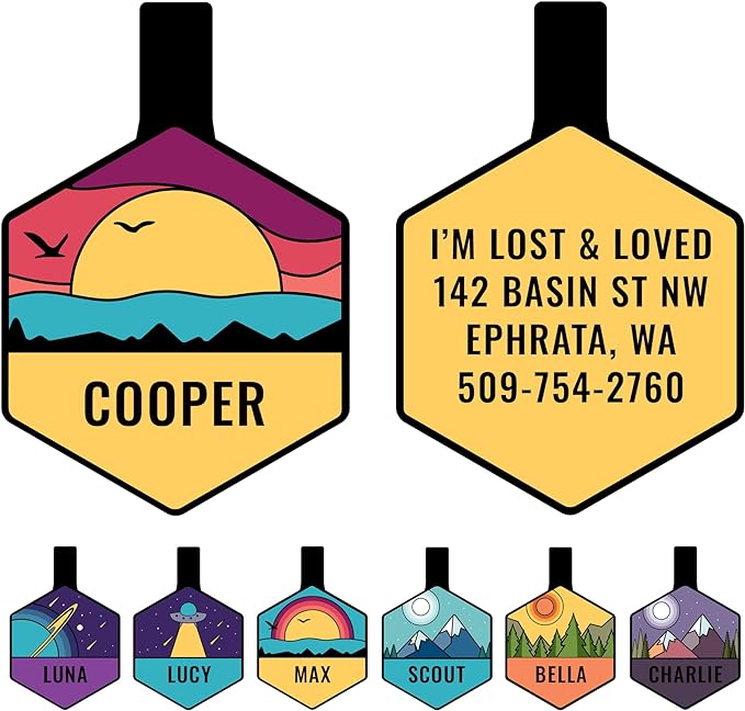 GoTags Silent Dog Tag, Personalized Engraved Hexagon Silicone Dog and Cat Name Pet ID Tags