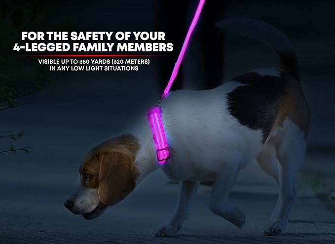 ILLUMISEEN LED Dog Collar USB Rechargeable - Bright & High Visibility Lighted Glow Collar for Pet