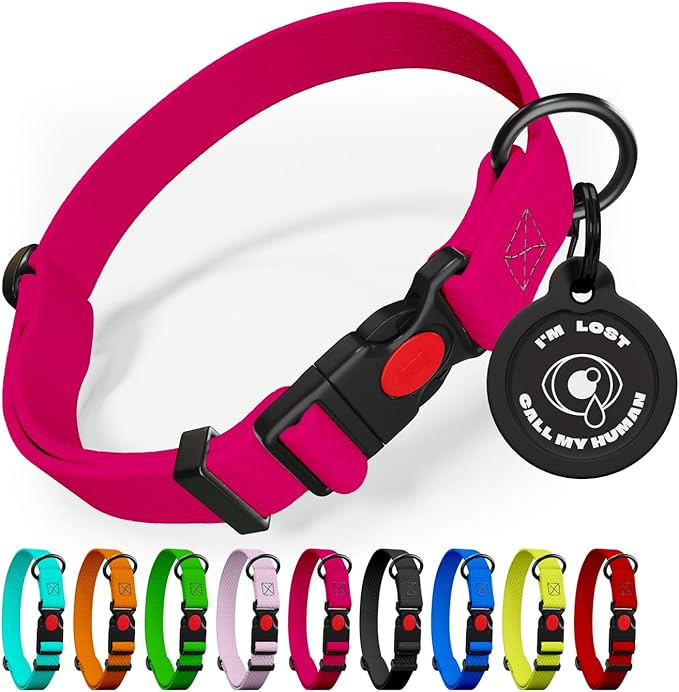 Adjustable Dog Collar with Safety Lock Buckle - Made in USA - Honeycomb Waterproof Heavy Duty Dog