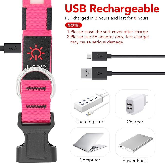 Vizpet LED Dog Collar, Light Up Dog Collar Adjustable USB Rechargeable Super Bright Safety Light