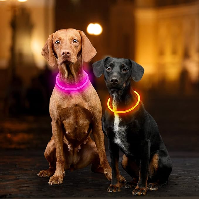 Light Up Dog Collar, Dlitk Rechargeable Cuttable LED Dog Collars, Pet Safety Light at Night Walking