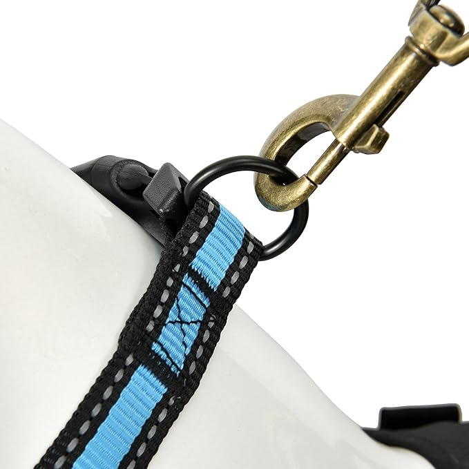 Mile High Life Dog Collar | Nylon Reflective Dog Collars | Light Weight Puppy Collars | Blue Dog