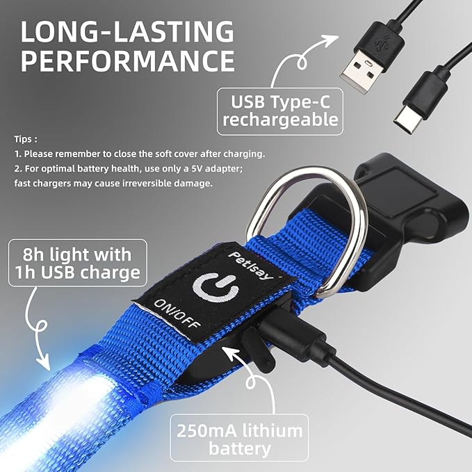 Super Bright LED Dog Collar - Fully Waterproof & Adjustable Glow Collar - USB-C Rechargeable for