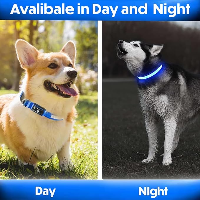 Light Up Dog Collar ??Reflective, Adjustable & Rechargeable Electronic Glow Pet Collars ??Bright