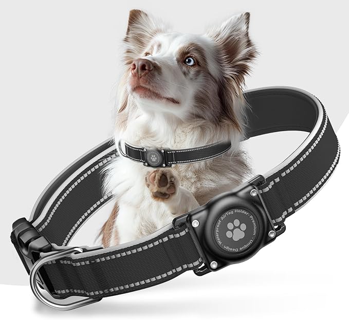 Airtag Dog Collar - 100% Waterproof AirTag Holder, Reflective, Soft Padded, Everlasting GPS Collar