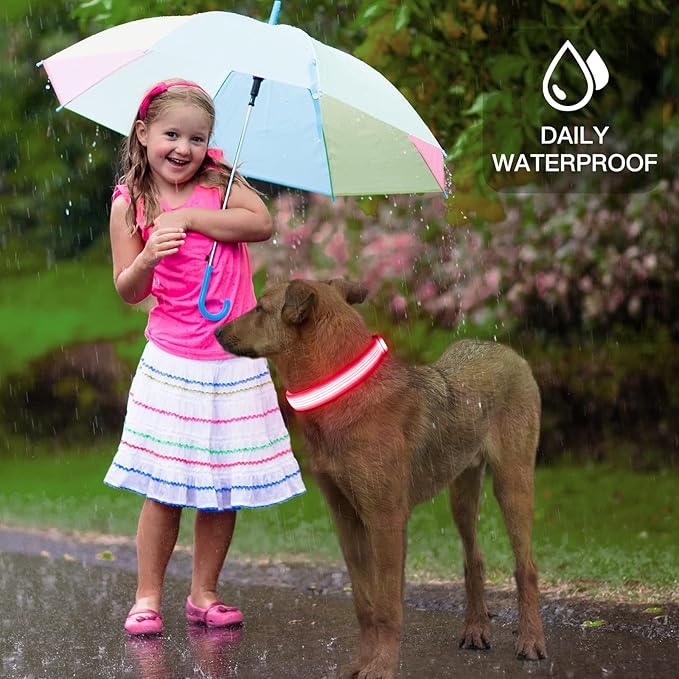 YFbrite Light up Dog Collar, USB Rechargeable LED Puppy Collar Super Bright Adjustable Glowing Dog