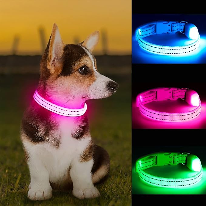 LED Dog Collar - Light Up, Adjustable, Rechargeable, Waterproof - Night Walking, Glow in Dark