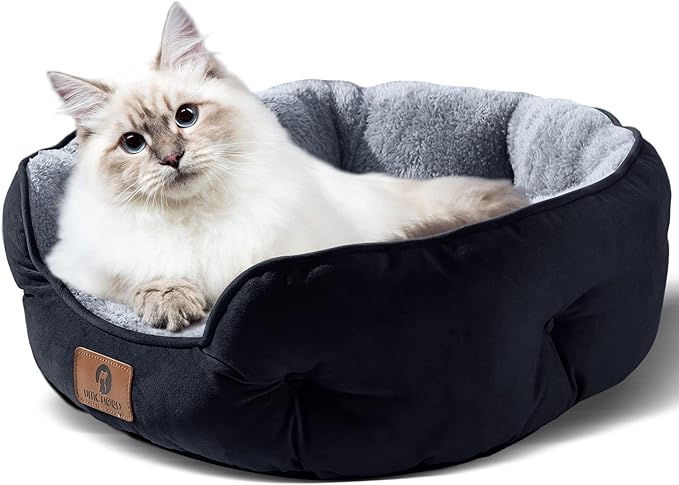 Asvin Medium Dog Bed for Medium Dogs, Large Cat Beds for Indoor Cats, Pet Bed for Puppy and Kitty