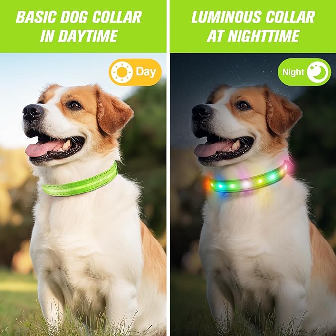LED Dog Collar, Light Up Dog Collar, USB Rechargeable - Brightest Dog Lights for Night Walking, 6
