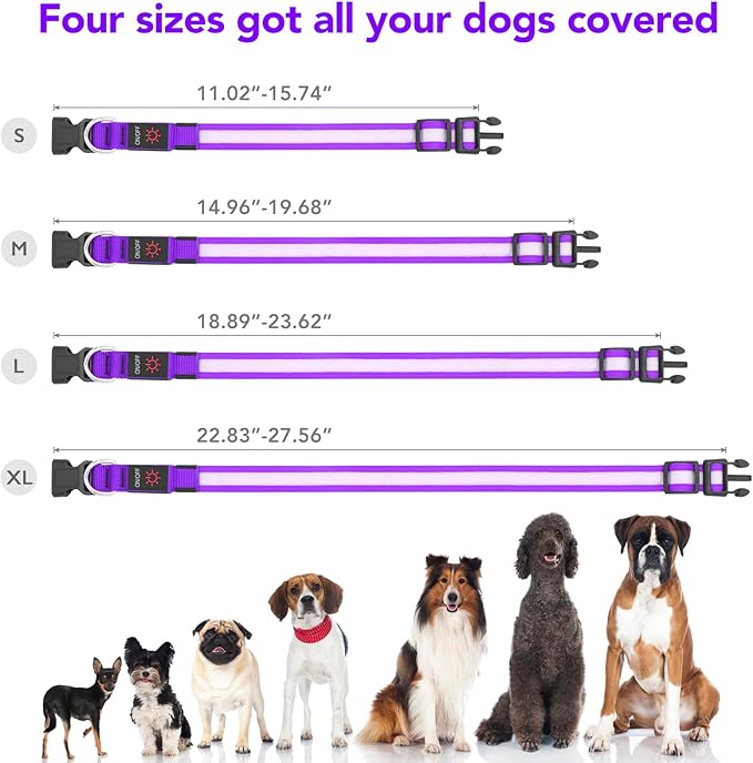 VIZPET LED Dog Collar, Light Up Dog Collar Adjustable USB Rechargeable Super Bright Safety Light