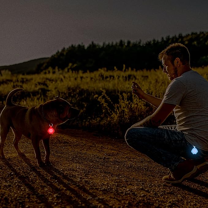 2-Pack Dog Light with USB Rechargeable, Color Changing Collar Light,IP67 Waterproof LED Safety