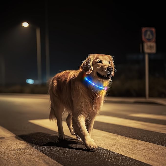 LED Dog Collar, Light Up Dog Collar, USB Rechargeable - Brightest Dog Lights for Night Walking, 6