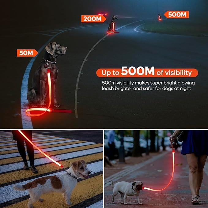 LED Dog Leash, Light Up Dog Leash 4 Ft USB Rechargeable Waterproof, Nylon Reflective Leashes with