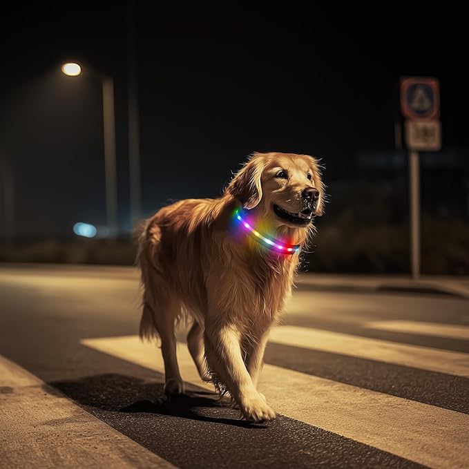 LED Dog Collar, Light Up Dog Collar, USB Rechargeable - Brightest Dog Lights for Night Walking, 6