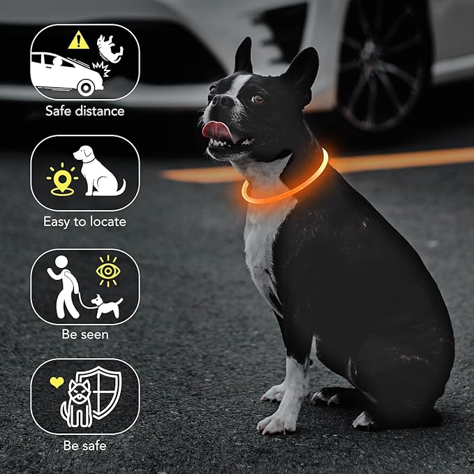 Colaseeme LED Dog Collar, Light Up Dog Collar 1 Count USB Rechargeable TPU Glow Safety Dog Necklace