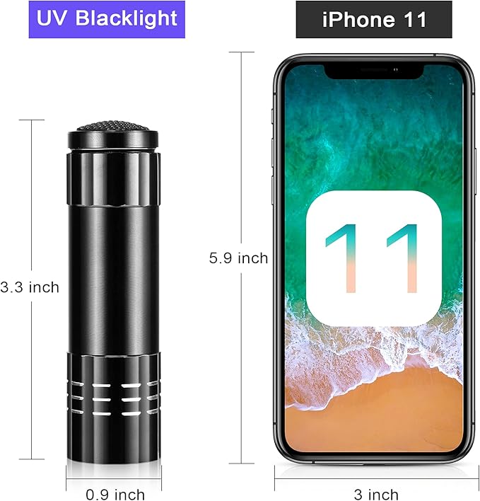 Riakrum 12 Pieces UV Blacklight Flashlights LED Handheld Mini Light Flashlight Small Portable