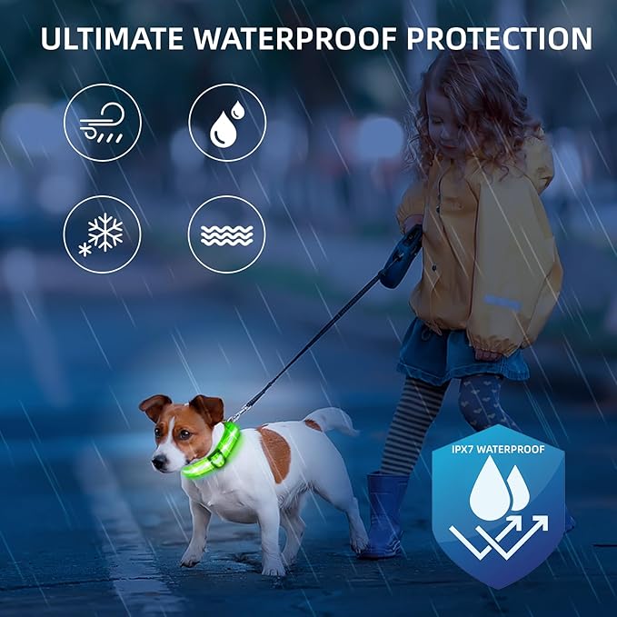 Super Bright LED Dog Collar - Fully Waterproof & Adjustable Glow Collar - USB-C Rechargeable for