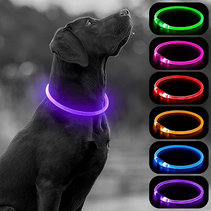 HIGO Light Up Dog Collar, LED Dog Collar for Night Safety with 3 Modes, Type-C Rechargeable &