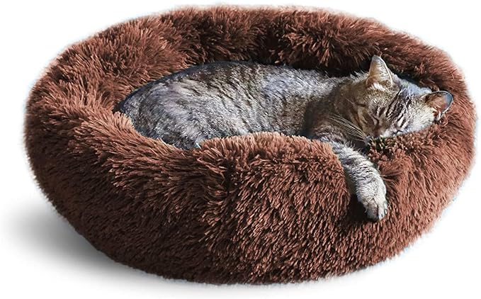 Whiskers & Friends Cat Bed, Cat Beds for Indoor Cats Washable, Orthopedic Soft Fluffy Round Calming