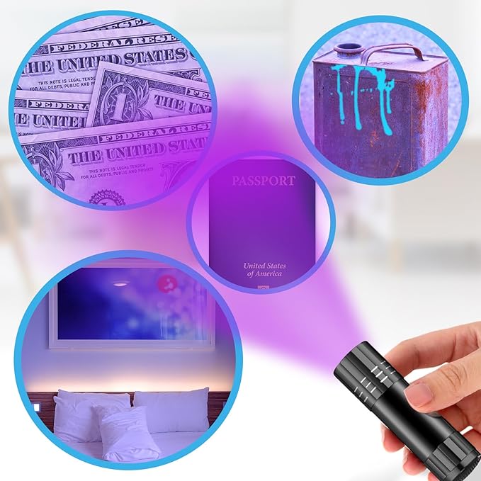 Riakrum 12 Pieces UV Blacklight Flashlights LED Handheld Mini Light Flashlight Small Portable