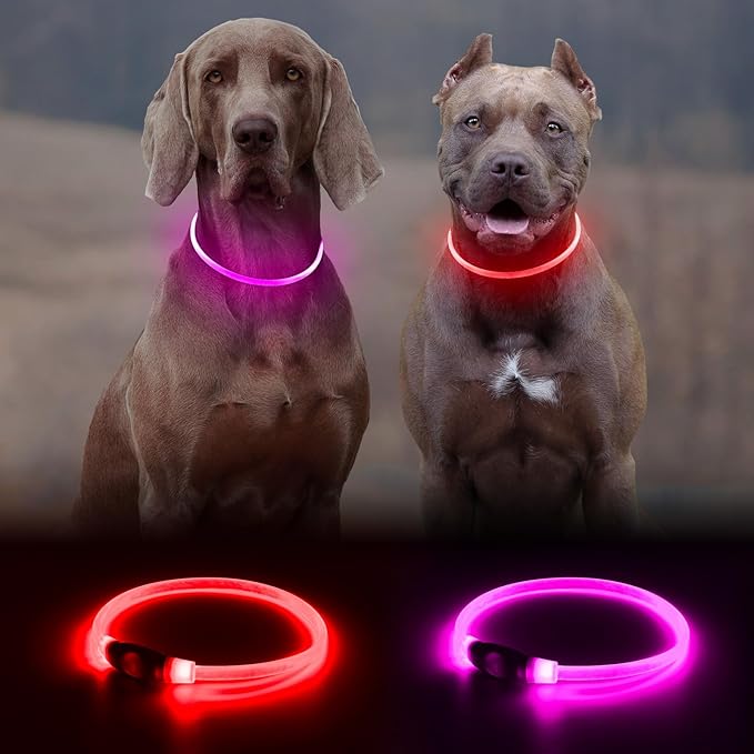 2 Packs Light Up Dog Collar, LED Dog Collar, USB Rechargeable Dog Lights for Night Walking