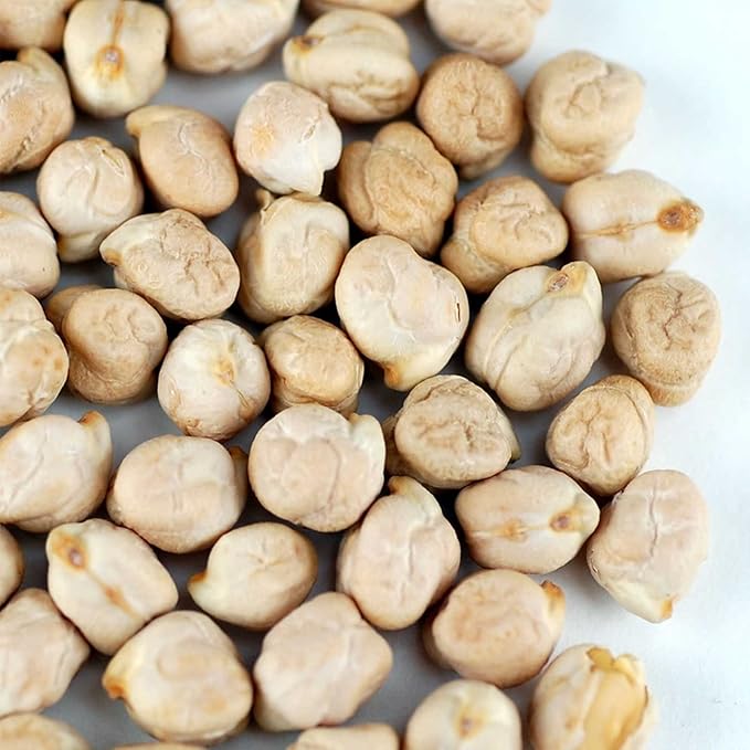 Dried Garbanzo Beans- Organic Sprouting Seeds - 1 Lbs - Handy Pantry Brand - Dry Garbonzo Bean /