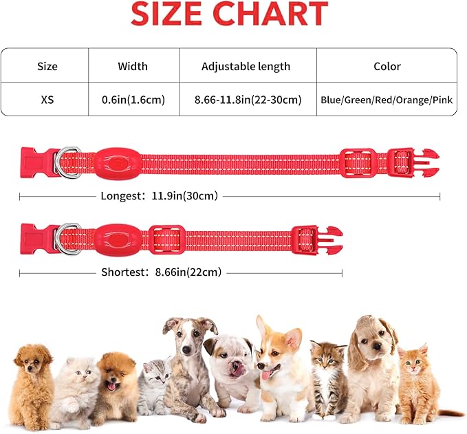Illumifun Light Up Collar for Small Dogs, USB Rechargeable LED Dog Collar Glow in The Dark