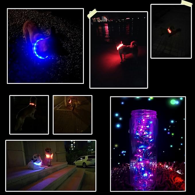 LED Dog Collar,USB Rechargeable Glowing Dog Collars, Light Up Collar Improved Pet Safety