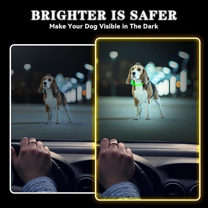 Led Light Up Dog Collar Rechargeable Waterproof, Glow in Dark Dog Collar, TPU Cuttable Lighted Dog