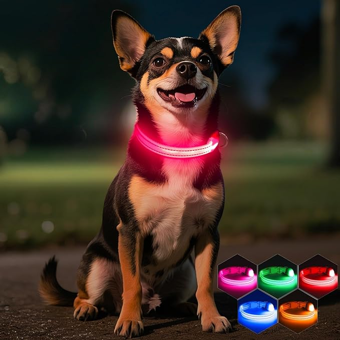Light Up Dog Collar- Rechargeable Puppy Collars Glow in The Dark LED Dog Collar for Night Walking