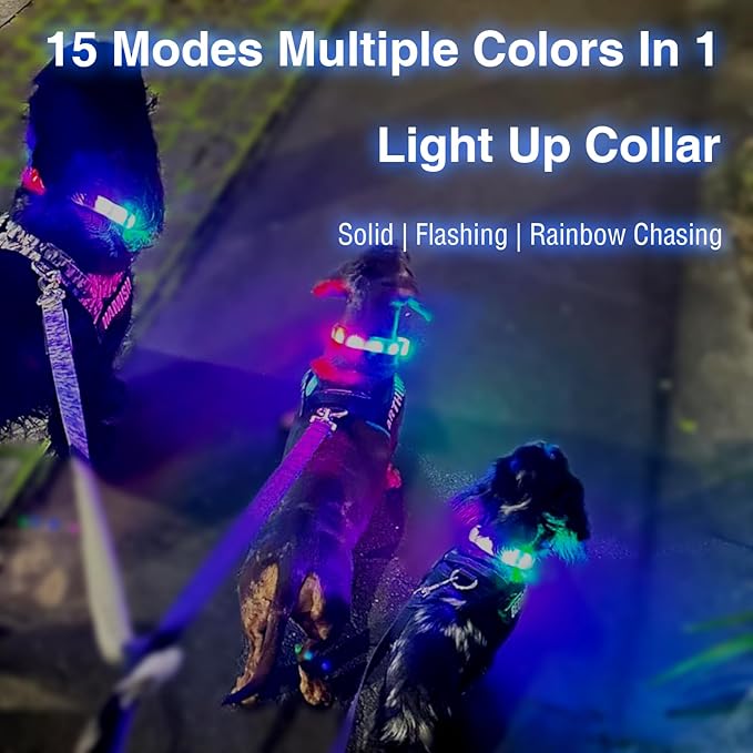 Led Dog Collar Rechargeable USB-C, Super Bright Multi-Color Light Up Collar, Weatherproof Lighted