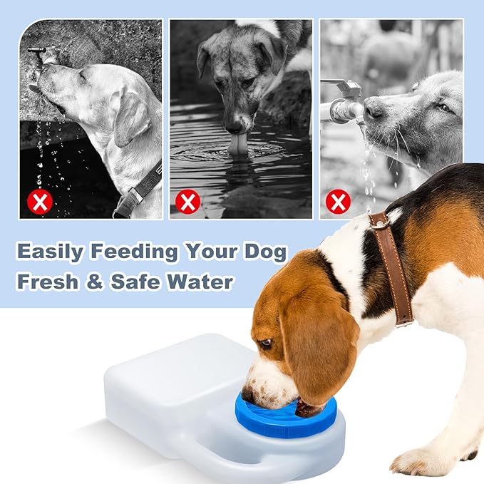 2 Pcs 3 Quart Dog Travel Water Bowl Portable Pet No Spill Water Bowl for Pet Dispenser for Small