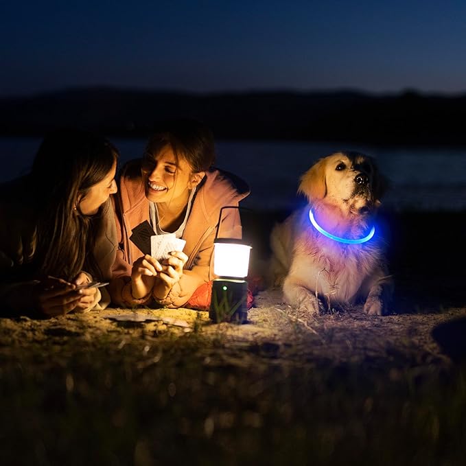 HIGO LED Dog Collar, USB Rechargeable Light Up Dog Collars Glow in The Dark, TPU Cuttable Pet