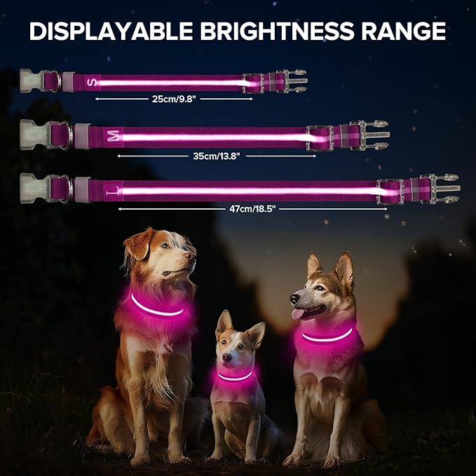 Light Up Dog Collar, Adjustable USB Rechargeable Glow in Dark Dog Collar ，Waterproof Dog Collars