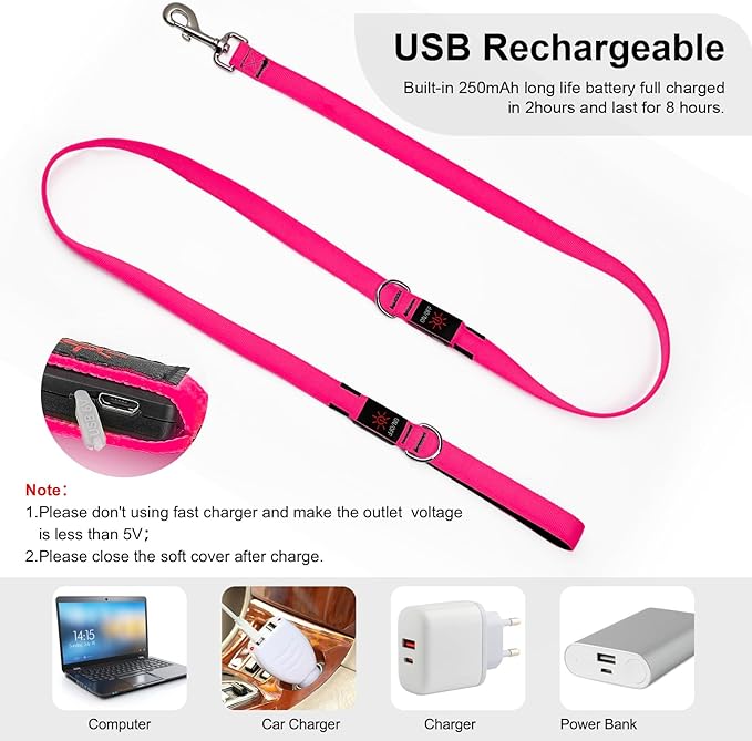 Colaseeme Light Up Dog Leash, LED Pet Leashes USB Rechargeable, Glow Safety Dogs Lights at Night