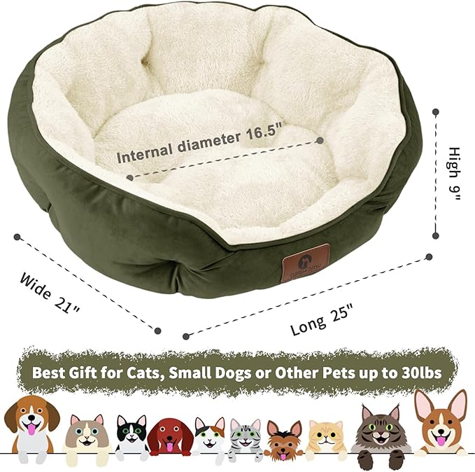 Asvin Medium Dog Bed for Medium Dogs, Cat Beds for Indoor Cats, Pet Bed for Puppy and Kitty, Extra