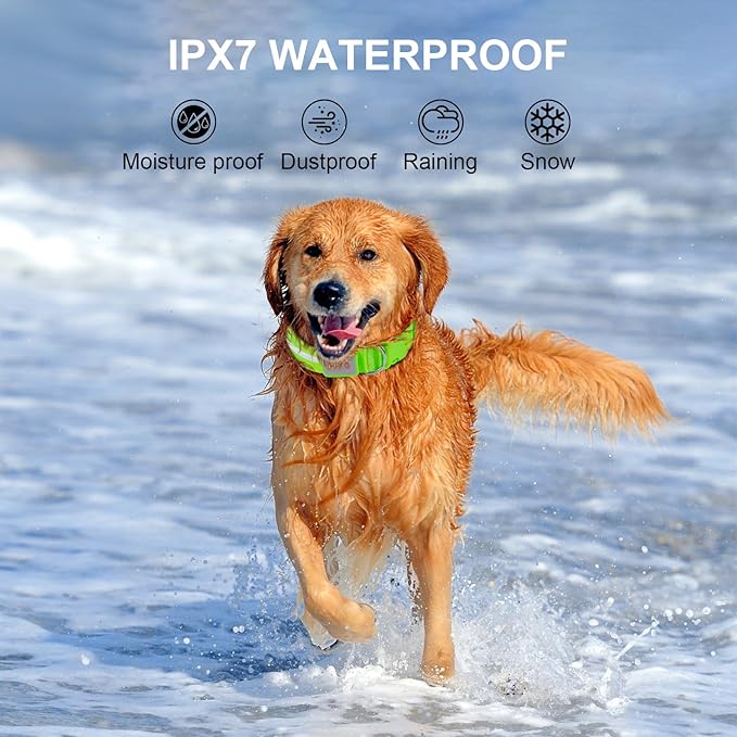 CHUKCHI LED Dog Collar Rechargeable,Waterproof Flashing Collar,Light Up Glow Collar, Adjustable