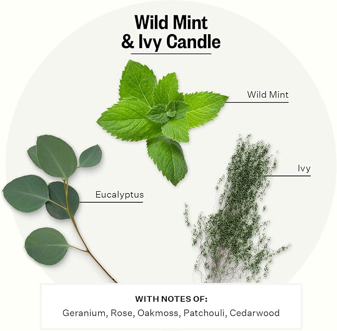 Apotheke 3-Wick Scented Candles for Home, Wild Mint & Ivy - 26 oz Soy Wax Jar Candle Gift for Women
