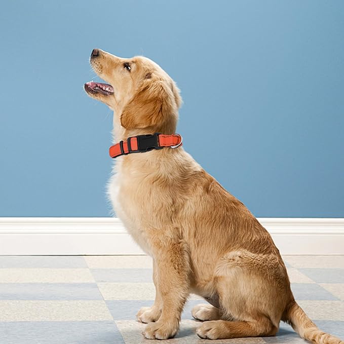 Reflective Dog Collar, Adjustable Soft Neoprene Padded Nylon Pet Collars with Buckle for Small