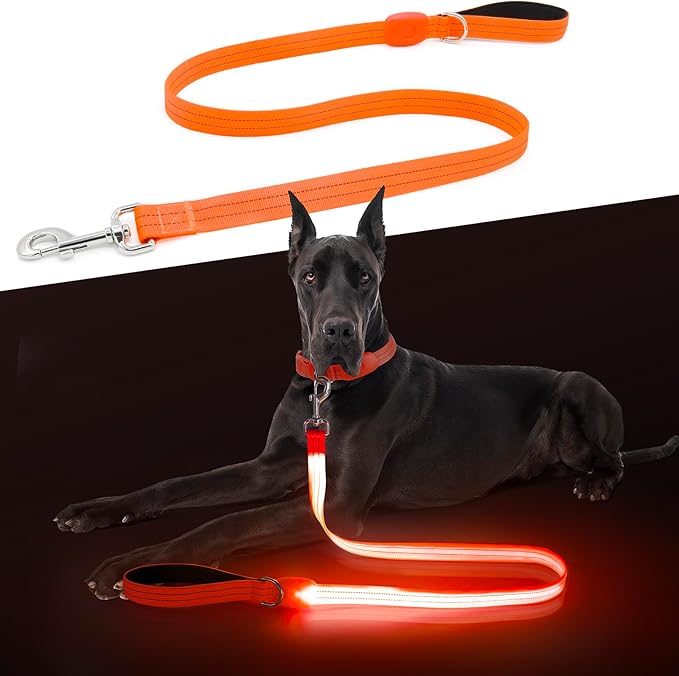 LED Dog Leash, Light Up Dog Leash 4 Ft USB Rechargeable Waterproof, Nylon Reflective Leashes with