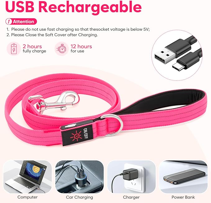 LED Dog Leash, 4 Ft Light Up, USB Rechargeable, Waterproof, Nylon Reflective with Padded Handle