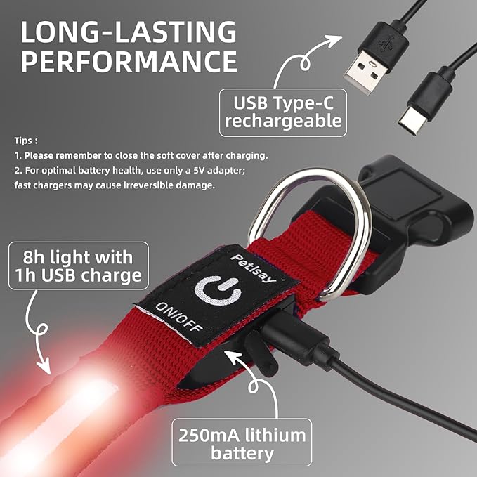 Super Bright LED Dog Collar - Fully Waterproof & Adjustable Glow Collar - USB-C Rechargeable for