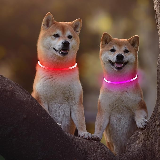 2 Packs Light Up Dog Collar, LED Dog Collar, USB Rechargeable Dog Lights for Night Walking