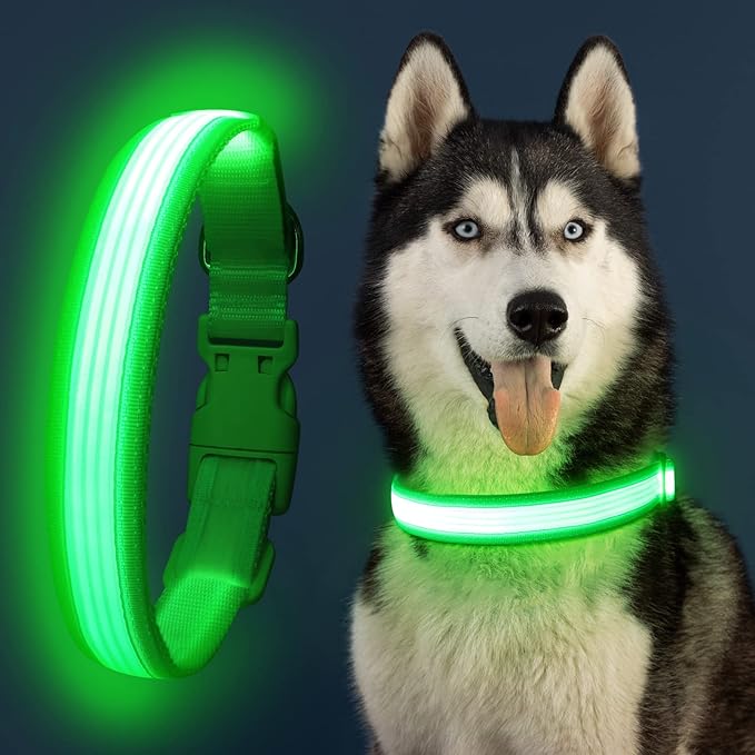 YFbrite Light up Dog Collar, USB Rechargeable LED Puppy Collar Super Bright Adjustable Glowing Dog