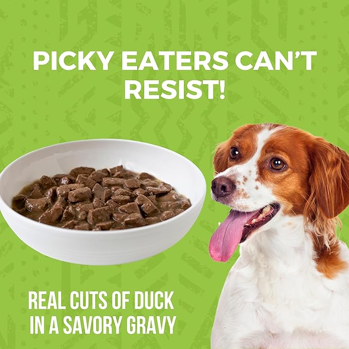 KOHA Minimal Ingredient Duck Stew for Dogs, High Protein Limited Ingredient Dog Food, 12.7oz Cans