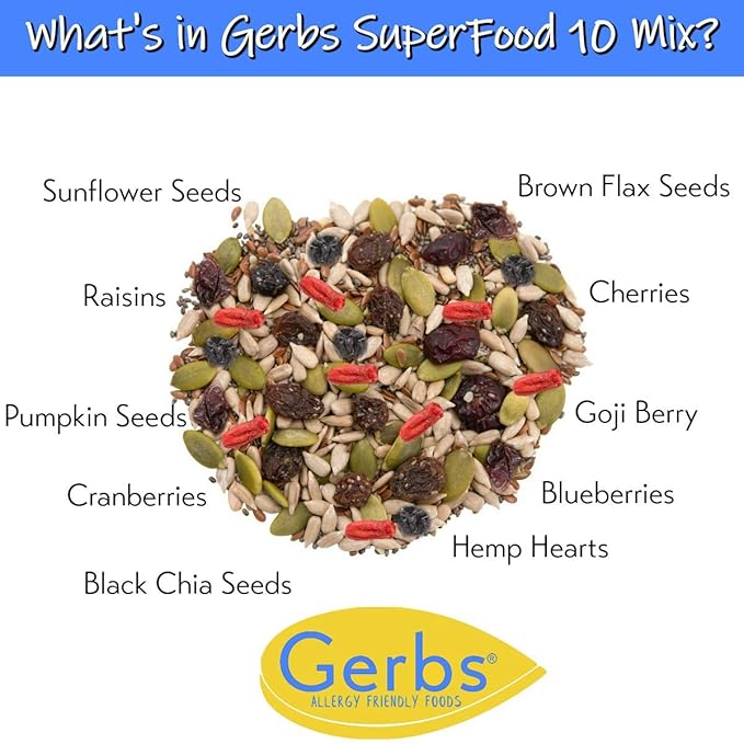 GERBS Superfood Snack Mix 2 LBS. | Top 14 Food Allergy Free | Bulk Bag | Made USA | Raw Pumpkin