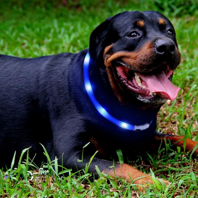 LED Dog Collar,USB Rechargeable Glowing Dog Collars, Light Up Collar Improved Pet Safety
