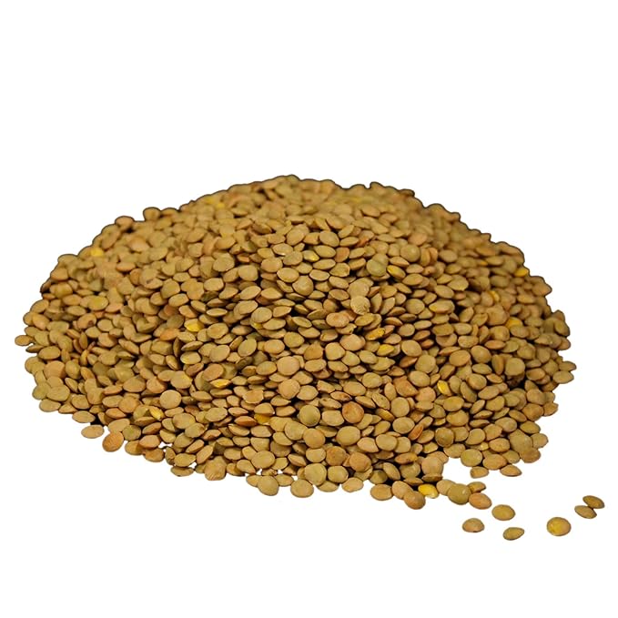 Wheatland??Lentils ??20lb ??Mylar, Oxygen Absorber and Bucket Provide 25 Year Shelf Life ??Lab