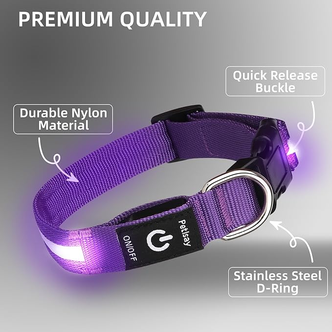 Super Bright LED Dog Collar - Fully Waterproof & Adjustable Glow Collar - USB-C Rechargeable for